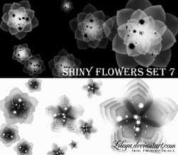 ShinyFlowers.jpg